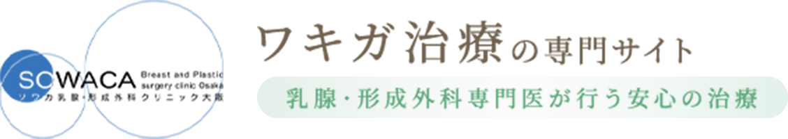 SOWAKA breast and Plasstic surgery clinic Osaka ソワカ乳腺・形成外科クリニック大阪 陥没乳頭治療の専門サイト 乳腺・形成外科専門医が行う安心の治療